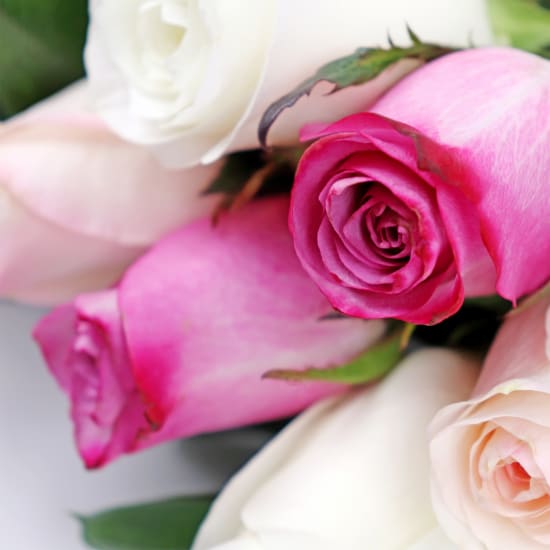 Pastel Roses Bouquet - 6 Roses (Half Dozen)