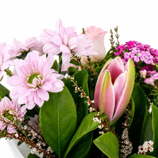 Spring Scents Hat Box - Standard (view 2 of 2)