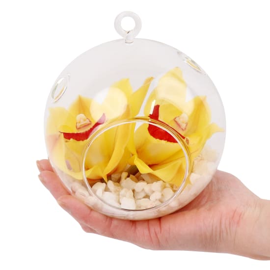Yellow Orchid Orb - Deluxe
