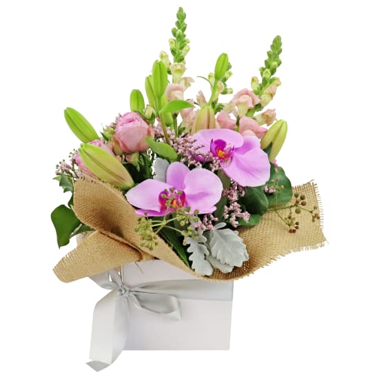 The Ballerina's Flower Box - Standard