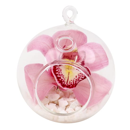 Orchid Orb Glass Hanging Tealight Vase - Standard
