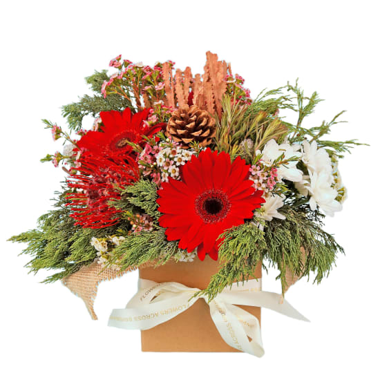 Christmas Natives Gift Box - Standard