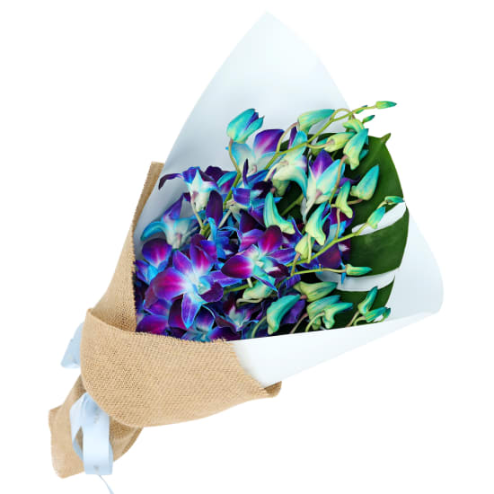 Blue Orchid Bunch - Standard