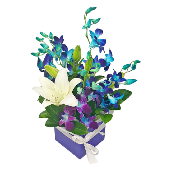 Blue Making Magic Posy Box - Standard
