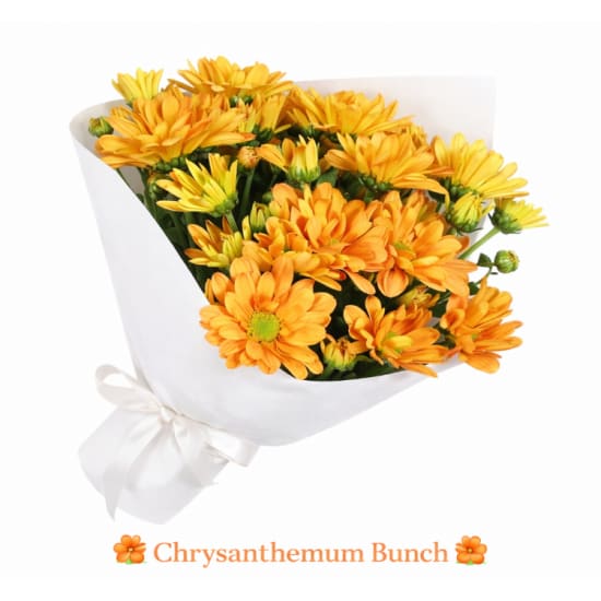 Chrysanthemum Bunch - Standard
