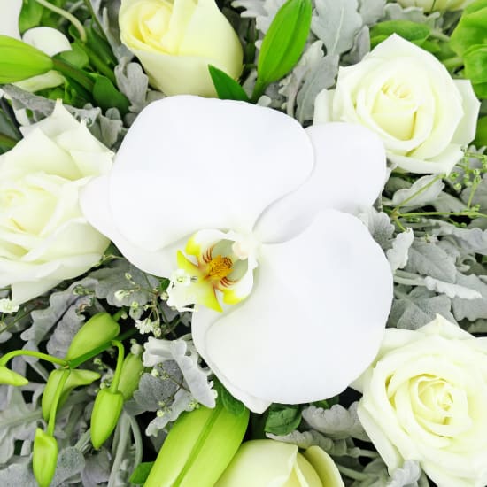 Above The Clouds White Sympathy Flower Wreath - Standard