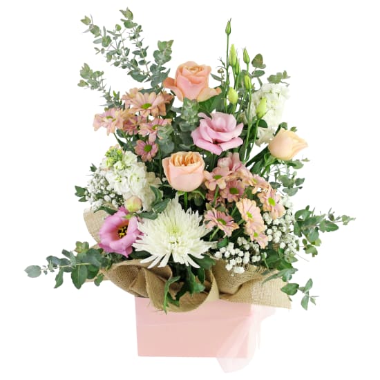 Pastel Parfait - Standard