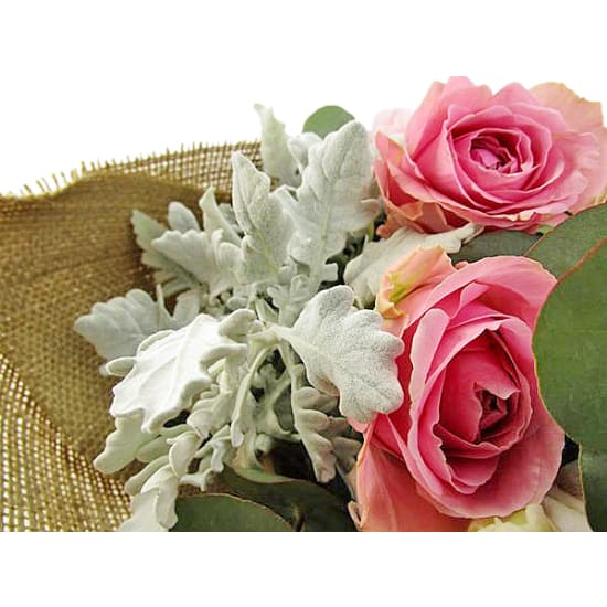 Ruffles And Romance - Standard