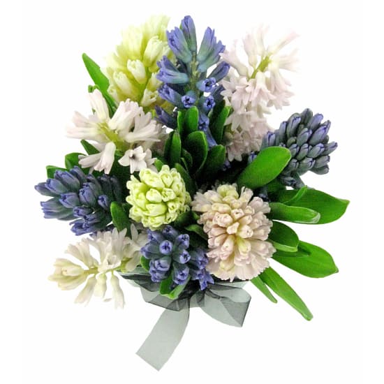 Hyacinth Vase - Deluxe