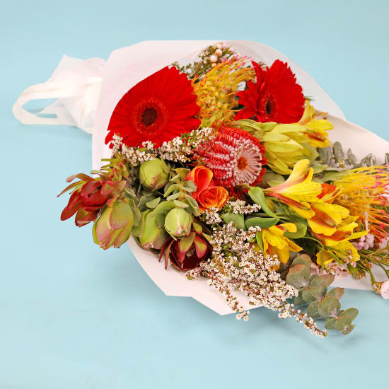 Native Sunrise - Standard