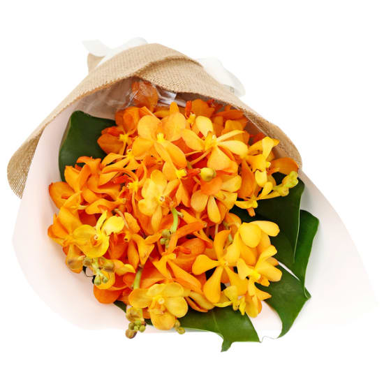 Orchid Bunch - Standard