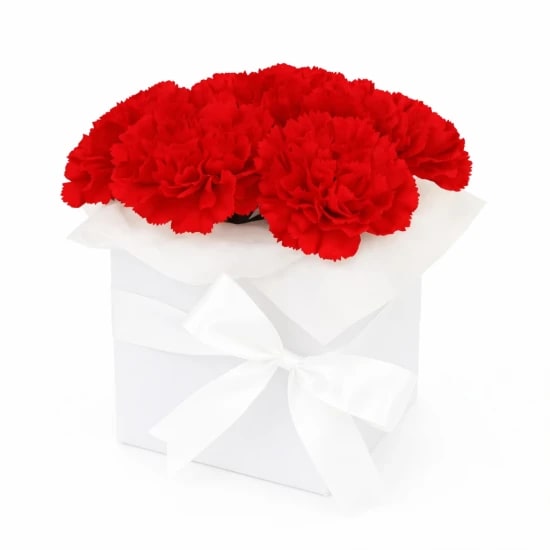 Little Carnation Flower Box – Mixed Colours - Standard