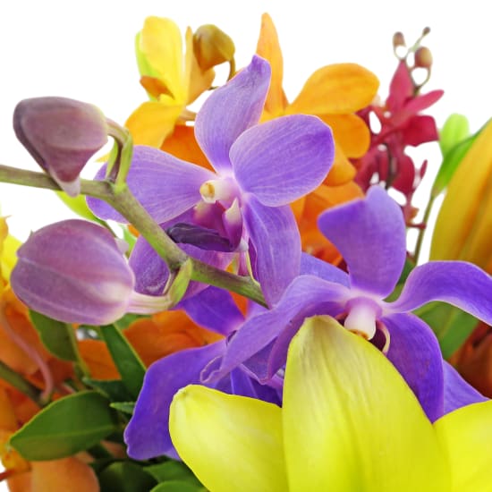 Making Magic Mixed Brights Posy Box - Deluxe