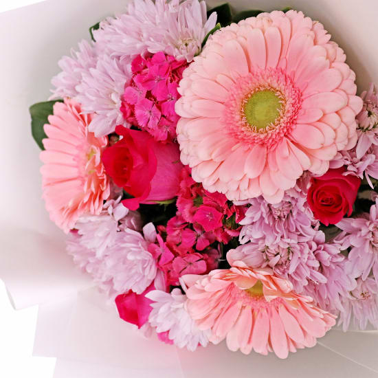 Pink Perfection - Standard