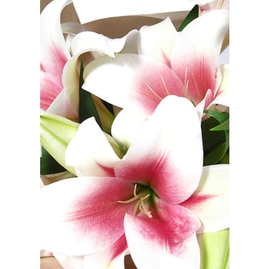 Christmas Lilies - Standard