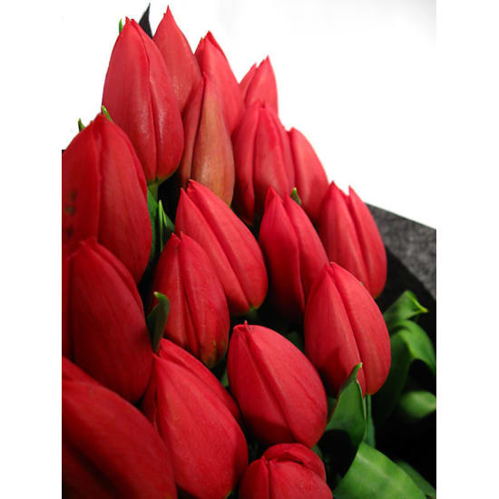 Tulip Bouquet (Deluxe) Flower Delivery Sydney
