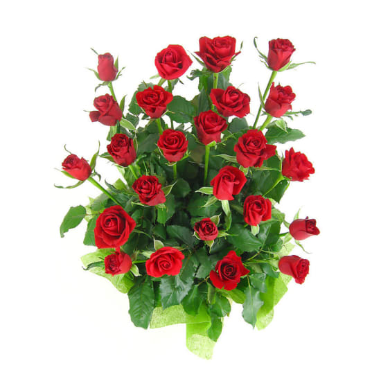 Presentation - 24 Roses (Two Dozen)