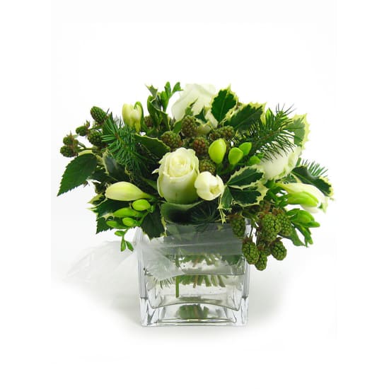 White Xmas - Standard