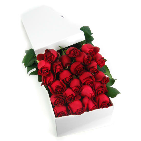 24 Elegant Roses - 24 Roses (Two Dozen)