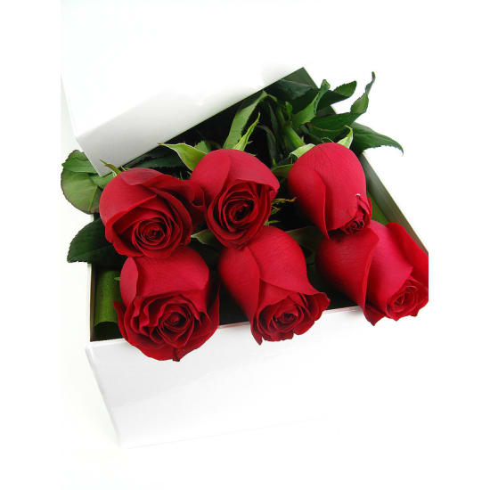 Valentine's 6 Elegant Roses - 6 Roses (Half Dozen)