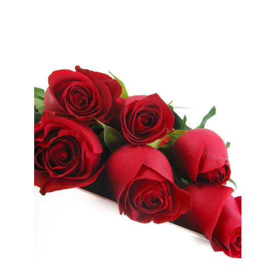 Valentine's 6 Elegant Roses - 6 Roses (Half Dozen)