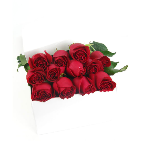 Valentine's 12 Elegant Roses   - 12 Roses (One Dozen)