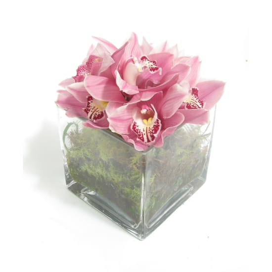 Cymbidium Orchid Vase - Standard