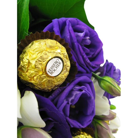 Regal Rocher - Standard