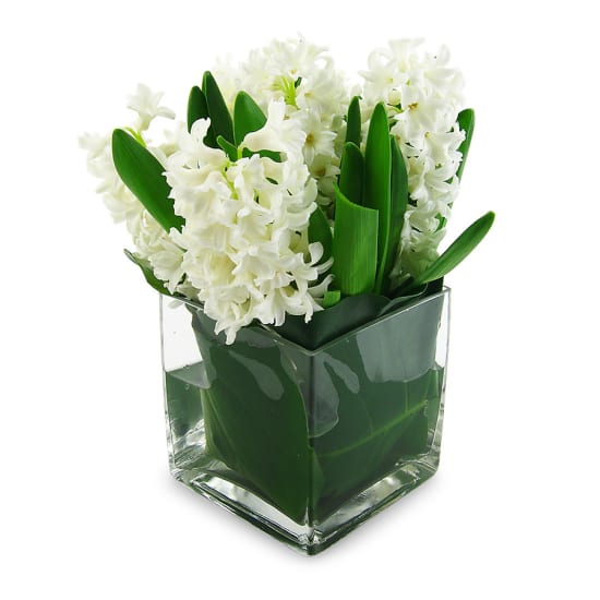 Hyacinth vase - Standard