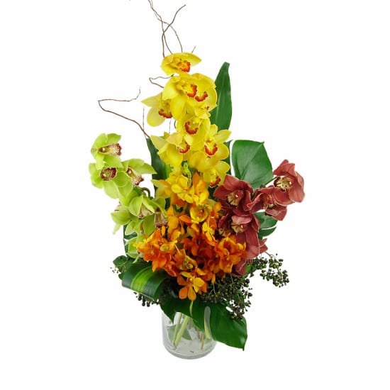 Mixed Orchid Vase - Standard