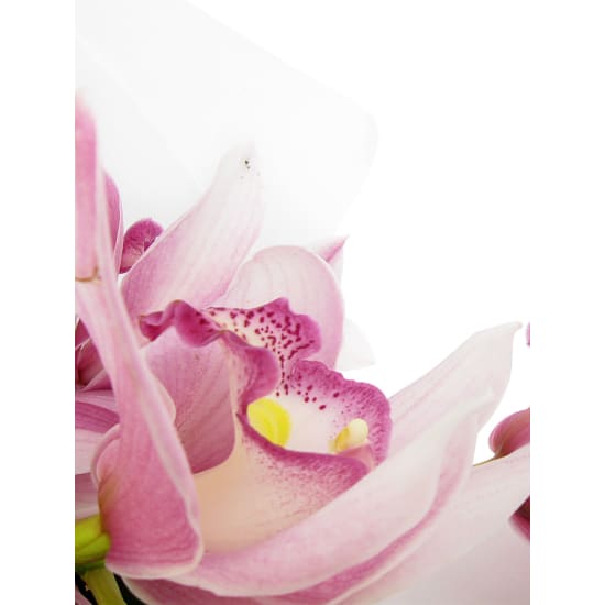 Cymbidium Orchid Bouquet - Standard