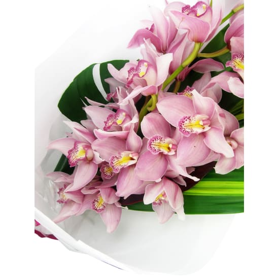 Cymbidium Orchid Bouquet - Standard