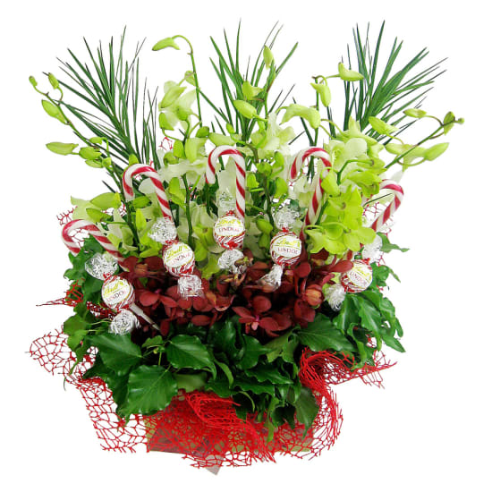 Christmas Treat Posy Box - Standard
