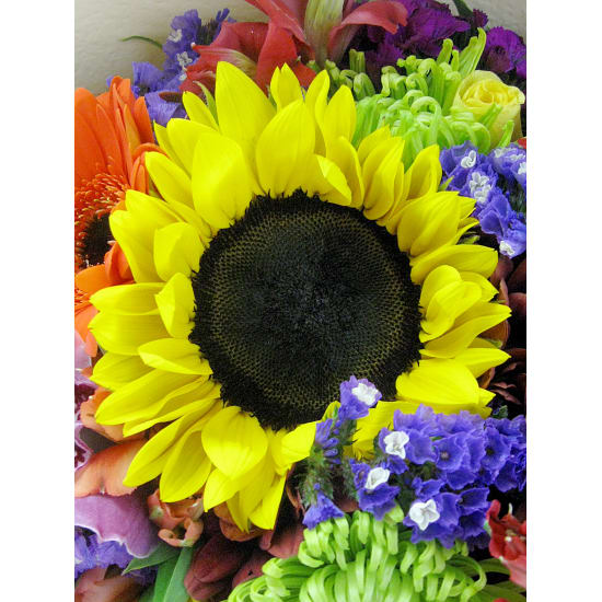 Exuberance Posy - Standard