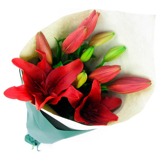 Red Lily bunch - Standard