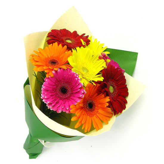 Mother's Day Gerberas - Standard