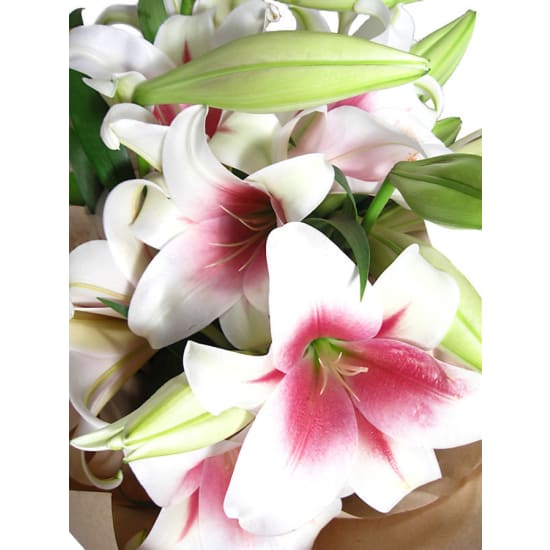 Christmas Lilies - Deluxe