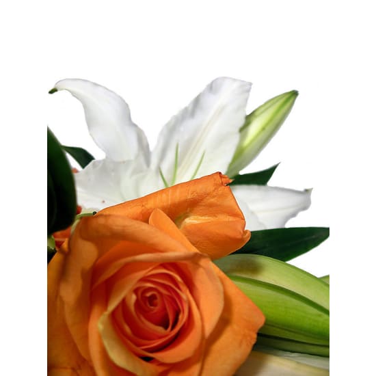 Mum's Day Roses and Lilies - Premium