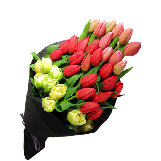 Tulip Bouquet - Premium