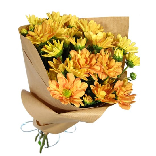 Chrysanthemums - Standard