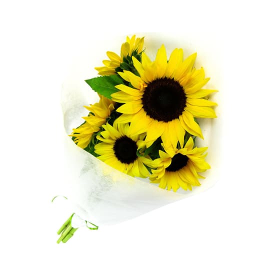 Sunflowers - Standard