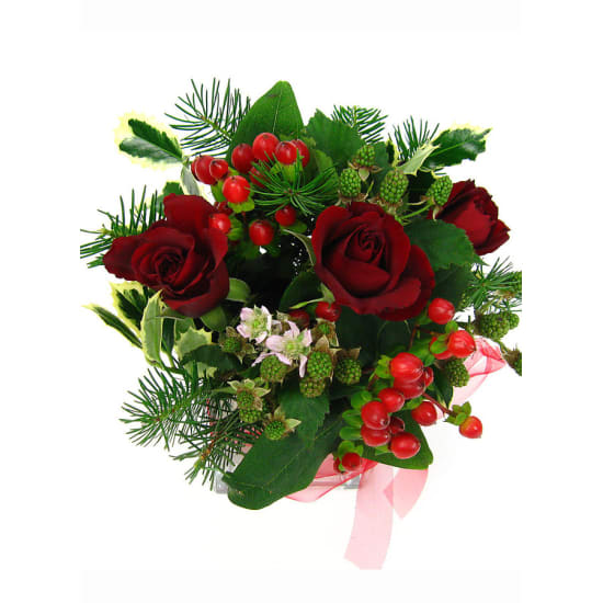 Red Xmas - Standard