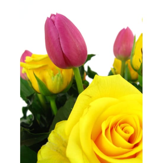 Roses and Tulips - Standard
