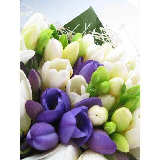 Freesia Bunch - Standard