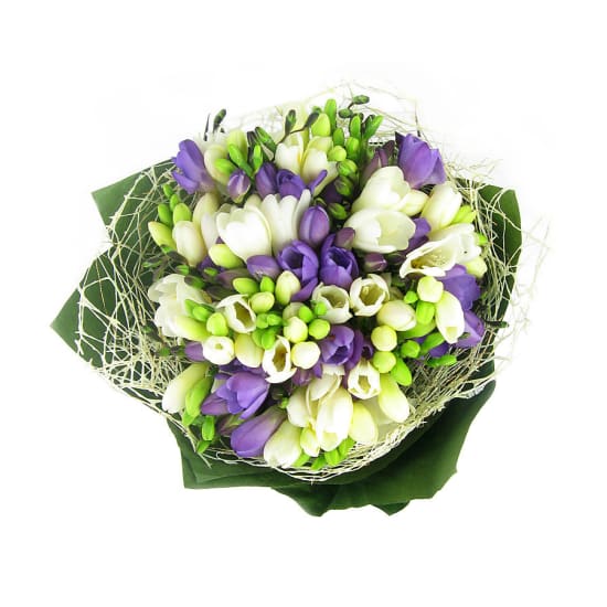 Freesia Bunch - Standard
