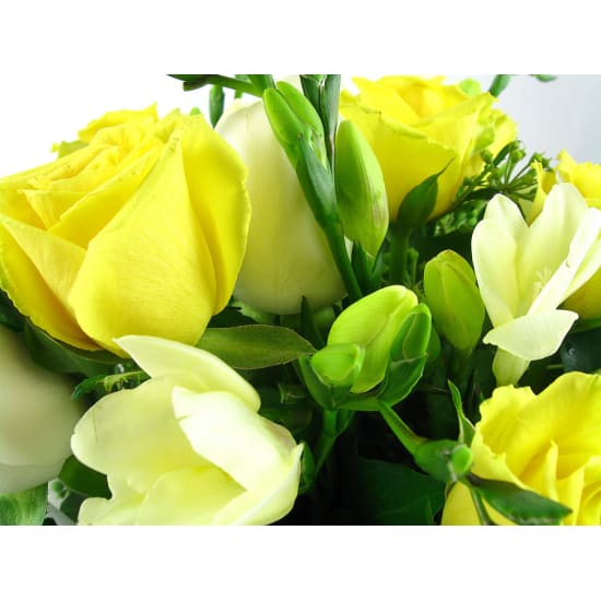 Roses and Freesias boxed - Standard