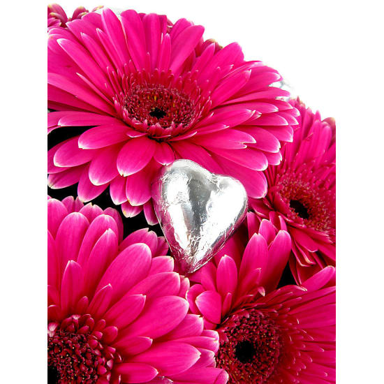 Gerbera and Chocolate Box - Standard