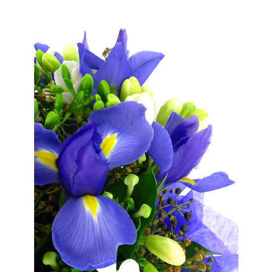 Bewitched - Standard