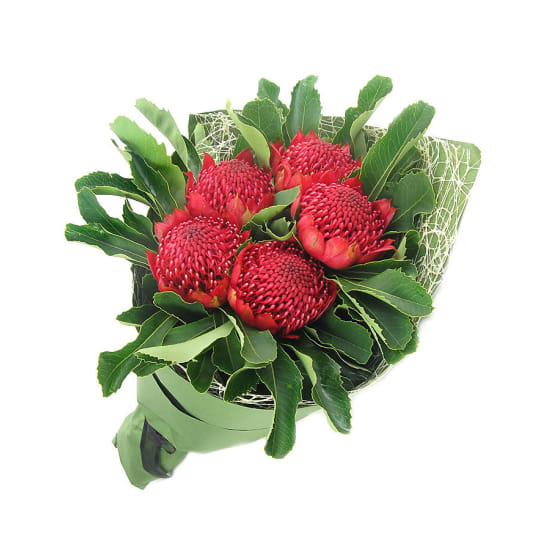 Waratah Bunch - Standard