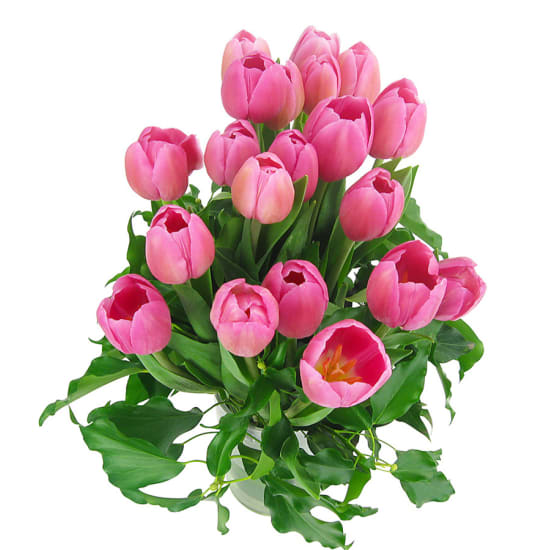 Tulip vase - Standard